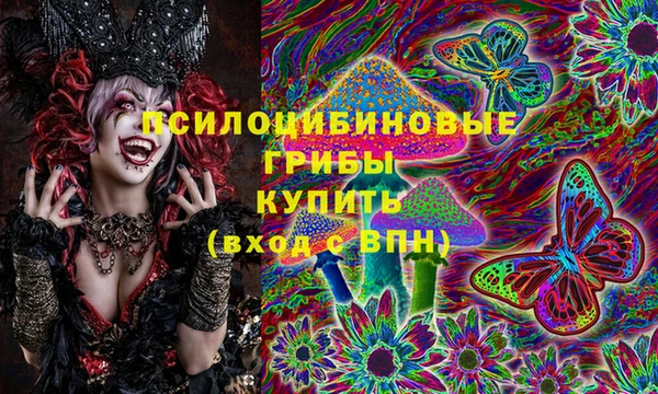 Альфа ПВП Рославль