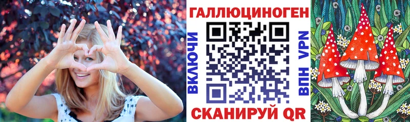 ОМГ ОМГ ссылки Гвардейск Псилоцибиновые грибы MAGIC MUSHROOMS